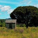 SERIE : BAJO OTRA MIRADA (II) – Verano (4)