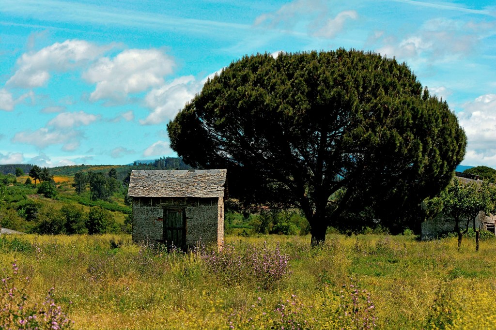 Cacabelos, El Bierzo, León, Castilla y León, España.