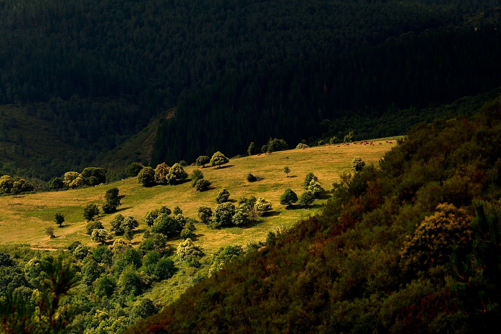 Paradiña, Villafranca del Bierzo, El Bierzo, León, Castilla y León, España.