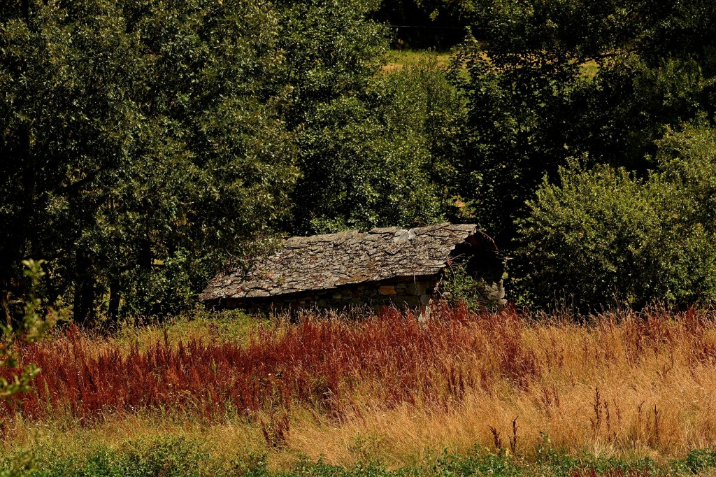 Suertes, Valle de Ancares (Candín), Ancares, El Bierzo, León, Castilla y León, España.