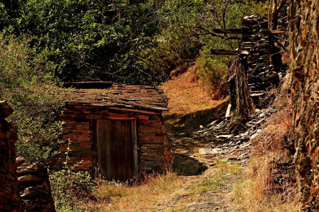 Arnado, Oencia, El Bierzo, León, Castilla y León, España.