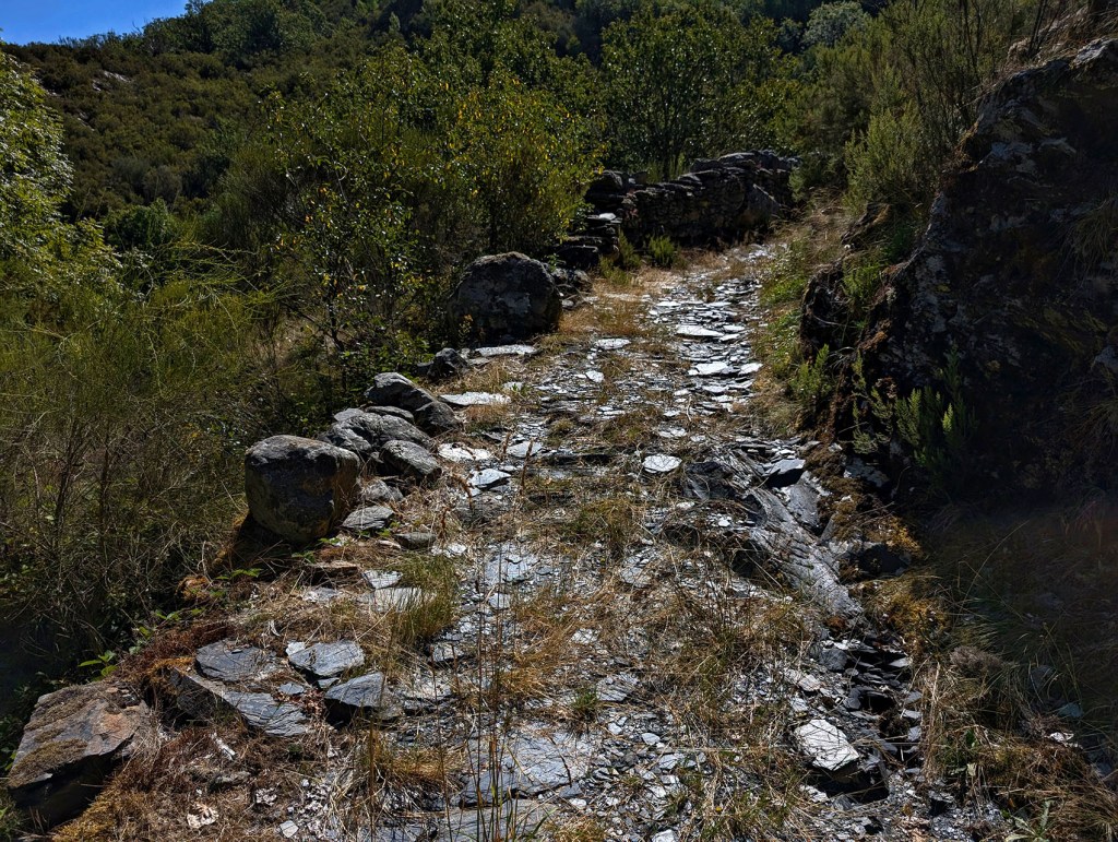 Camino que circunda la ribera del Rego do Rebolo, Arnado, Oencia, El Bierzo, León, Castilla y León, España.