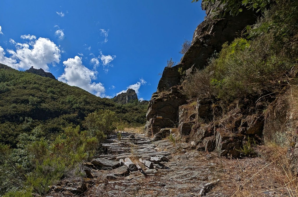 Arnado, Oencia, El Bierzo, León, Castilla y León, España.