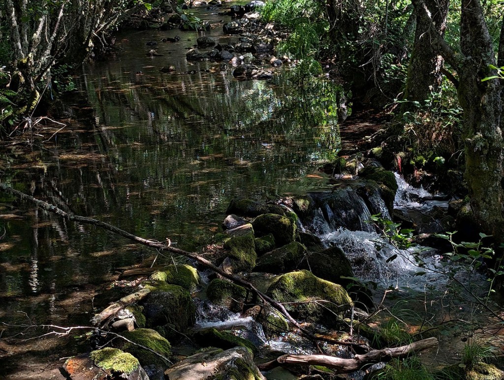 Inmediaciones de Suertes, Valle de Ancares (Candín), El Bierzo, León, Castilla y León, España.