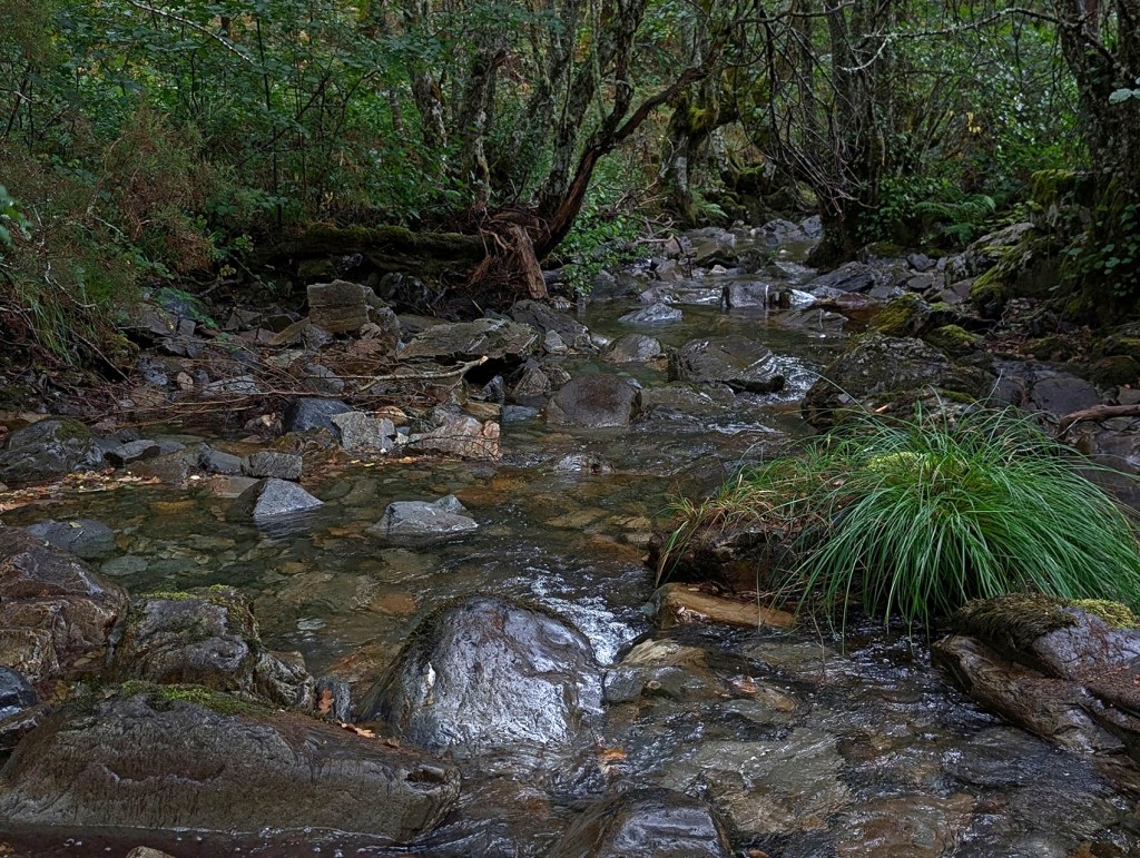 Suertes, Valle de ANcares (Candín), Ancares, El Bierzo, León, Castilla y León, España.