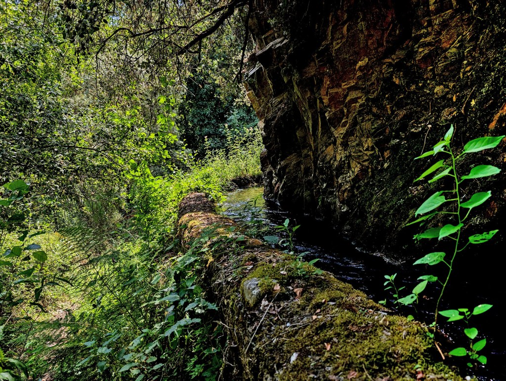 Los Puliñeiros, Villabuena, Cacabelos, El Bierzo, León, Castilla y León, España.