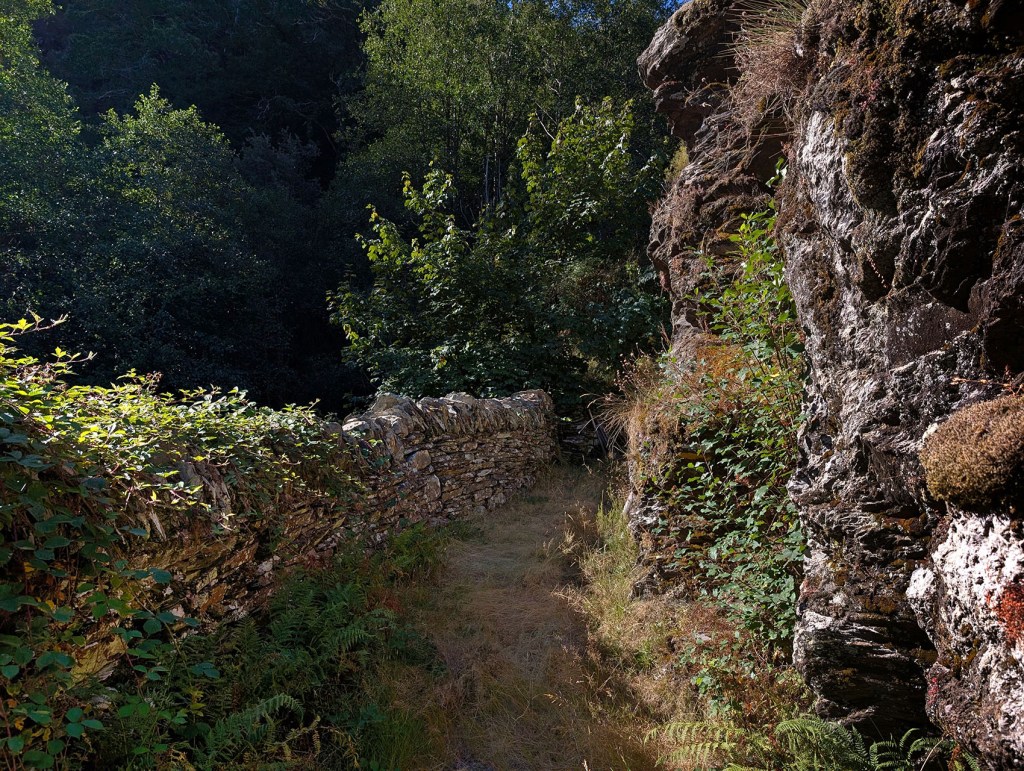 Arnado, Oencia, El Bierzo, León, Castilla y León, España.