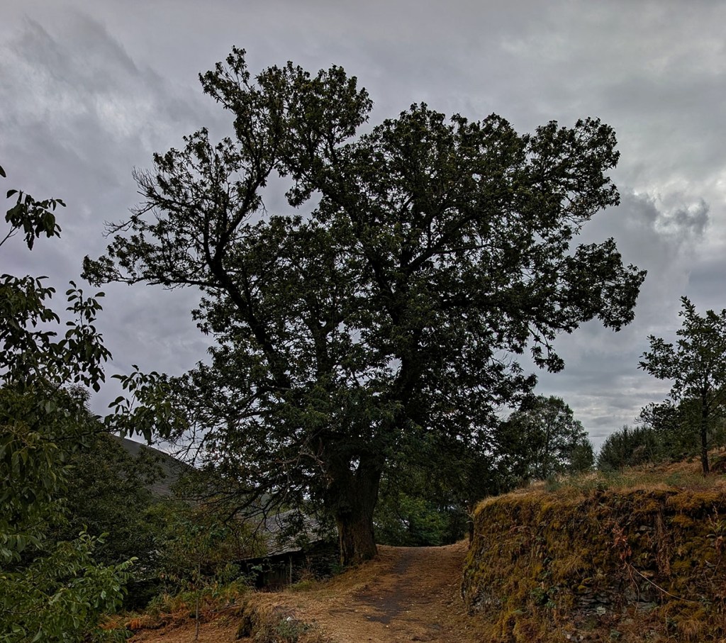 Suertes, Valle de Ancares (Candín), Ancares, El Bierzo, León, Castilla y León, España.