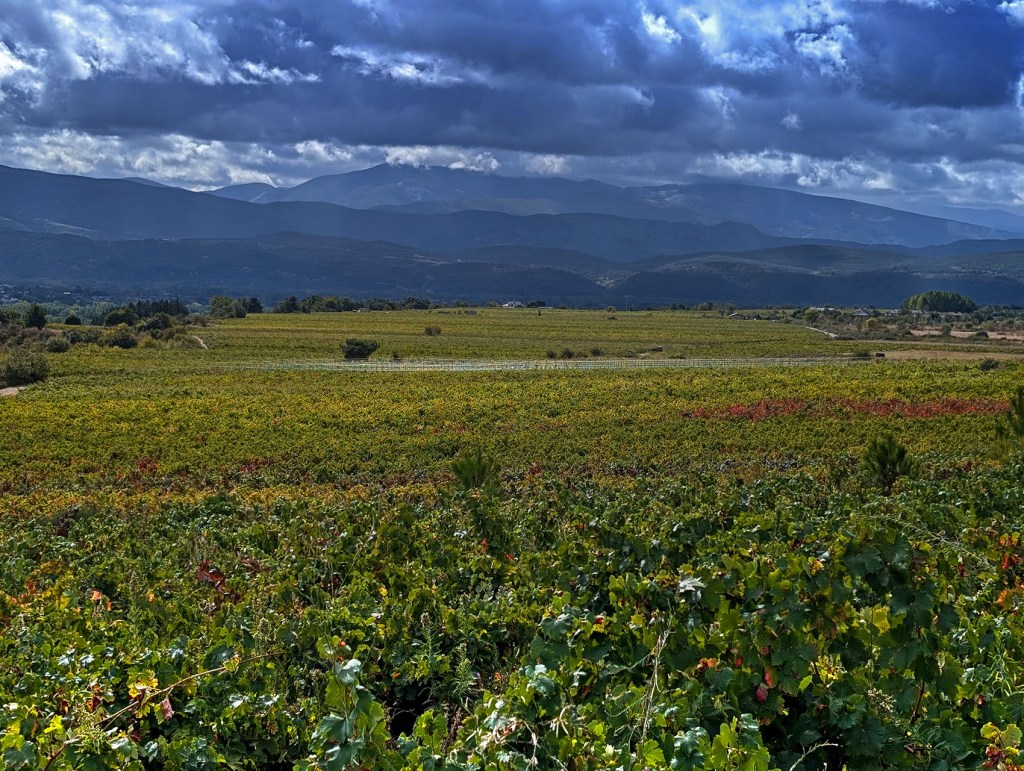 Cacabelos, El Bierzo, León, Castilla y León, España.