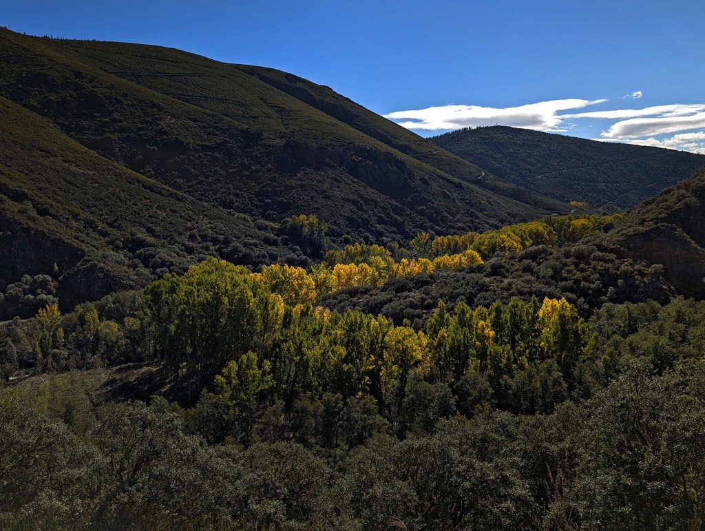 Los Puliñeiros en Villabuena, Cacabelos, El Bierzo, León, Castilla y León, España.