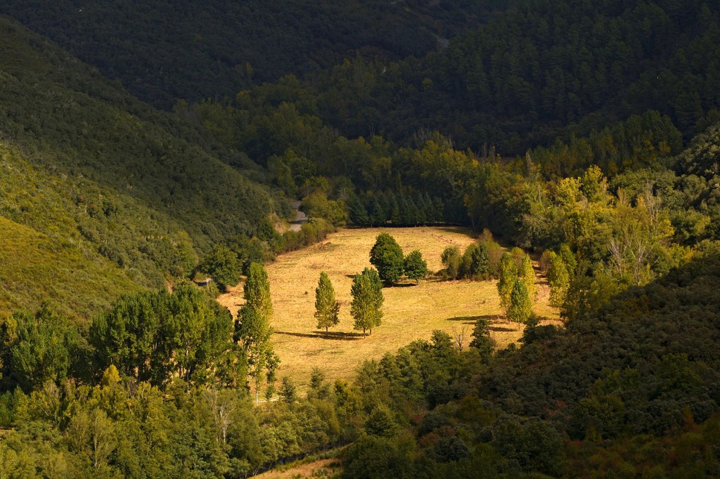 En las cercanías de San Pedro de Olleros, Vega de Espinareda, El Bierzo, León, Castilla y León, España.