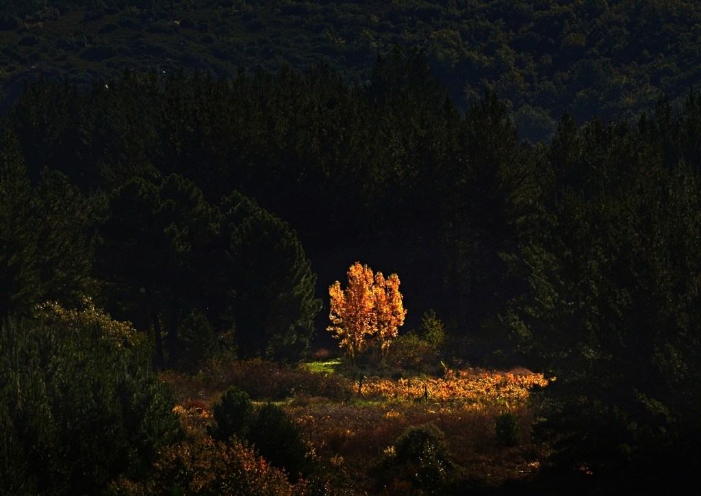 Valle de Finolledo, Vega de Espinareda, El Bierzo, León, Castilla y León, España.