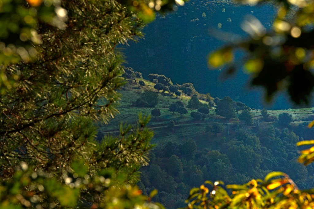 En las cercanías de Paradiña, Villafranca del Bierzo, El Bierzo, León, Castilla yu León, España