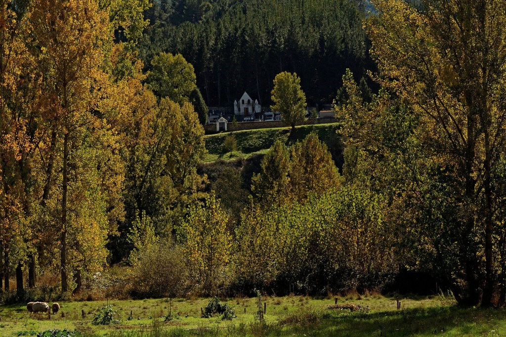 Vega de Espinareda, El Bierzo, León, Castilla y León, España.
