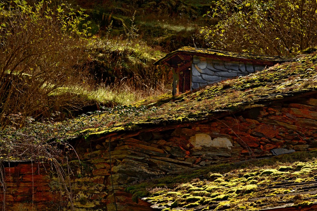 San Vicente, Arganza, El Bierzo, León, Castilla y León, España.