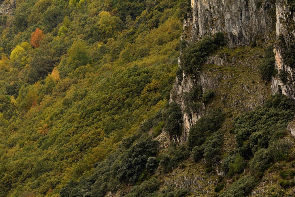 Peñalba de Santiago, Ponferrada, El Bierzo, León, Castilla y León, España.