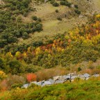 SERIE : LUZ SIN TIEMPO (4)