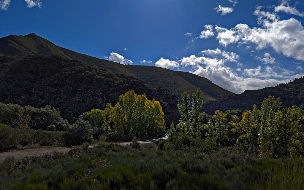 Los Puliñeiros, Villabuena, Cacabelos, El Bierzo, León, Castilla y León, España.