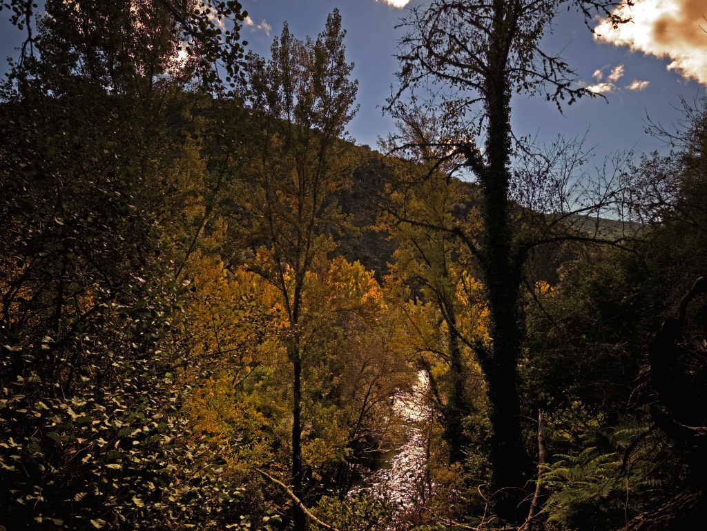 San Vicente, Arganza, El Bierzo, León, Castilla y León, España.