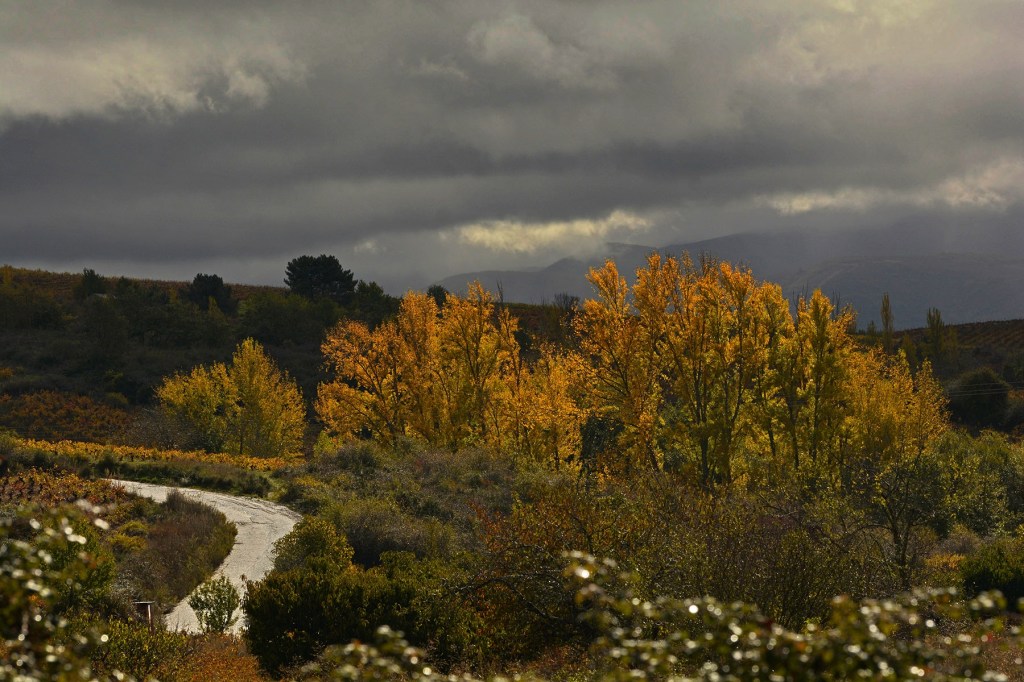 San Clemente, Cacabelos, El Bierzo, León, Castilla y León, España.