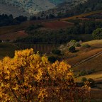 SERIE : LUZ SIN TIEMPO (5)