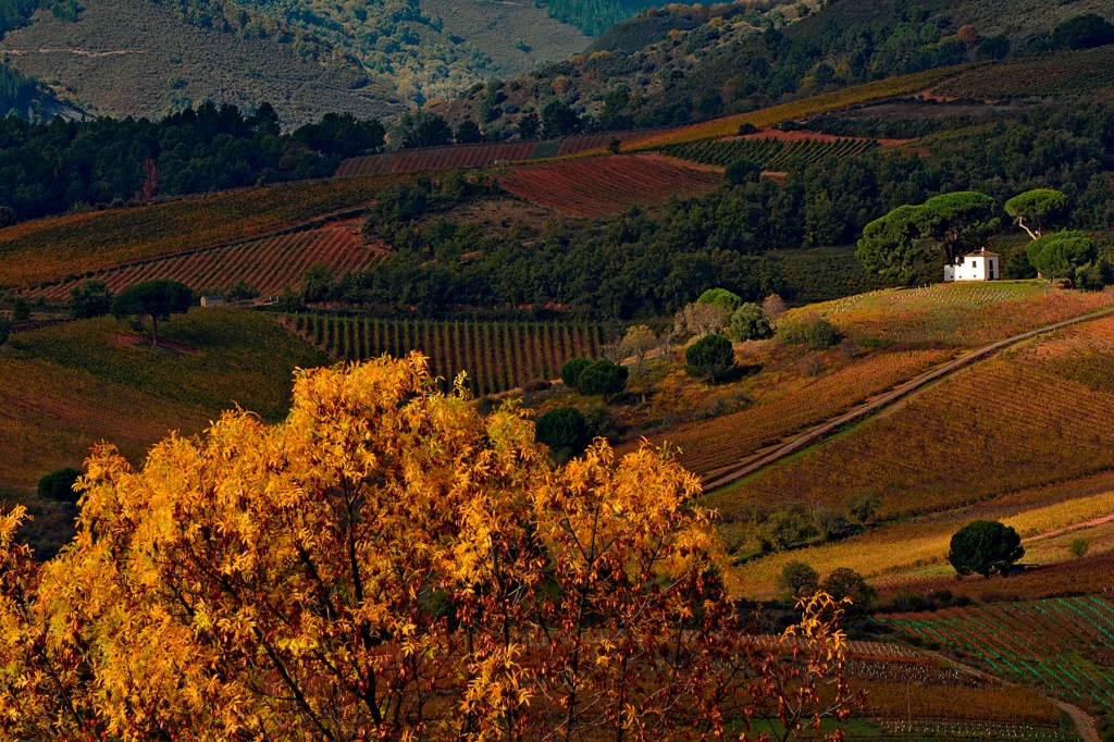 Proximidades de Valtuille de Arriba, Villafranca del Bierzo, El Bierzo, León, Castilla y León, España.