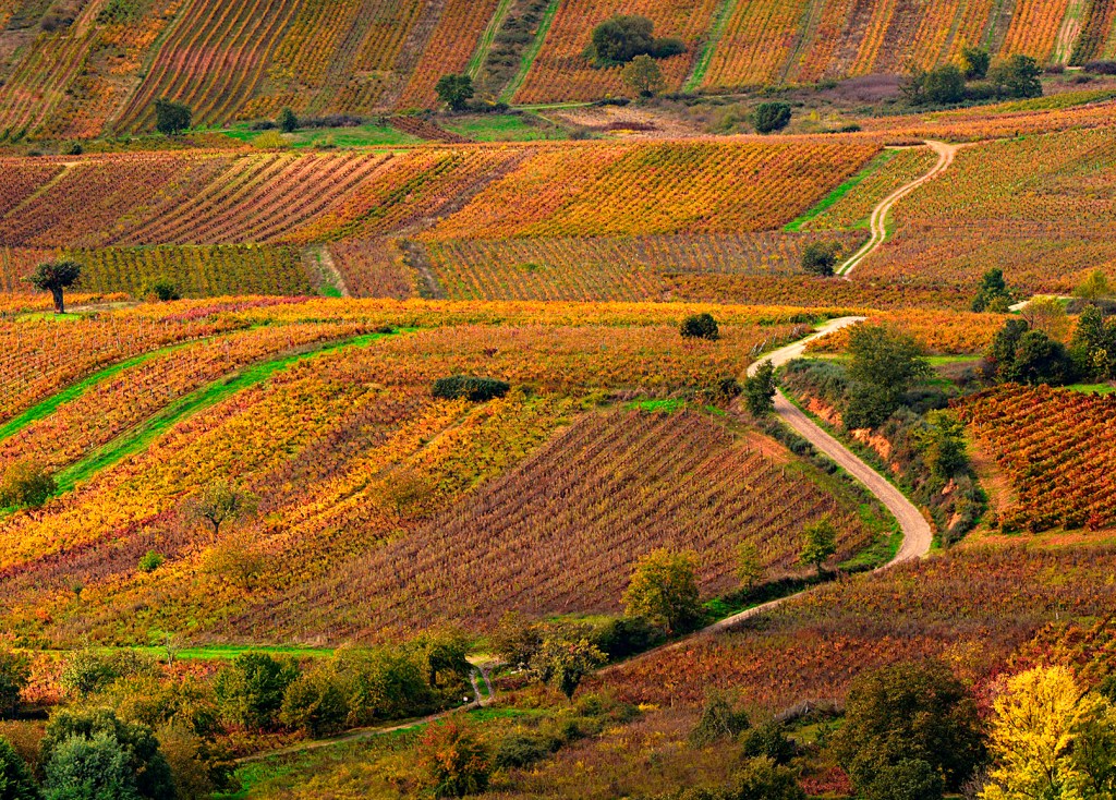 Valtuille de Abajo, Villafranca del Bierzo, El Bierzo, León, Castilla y León, España.