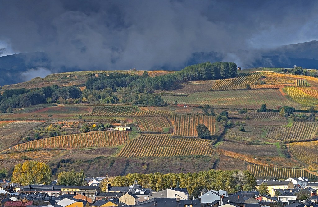 Desde Cacabelos, El Bierzo, León, Castilla y León, España.
