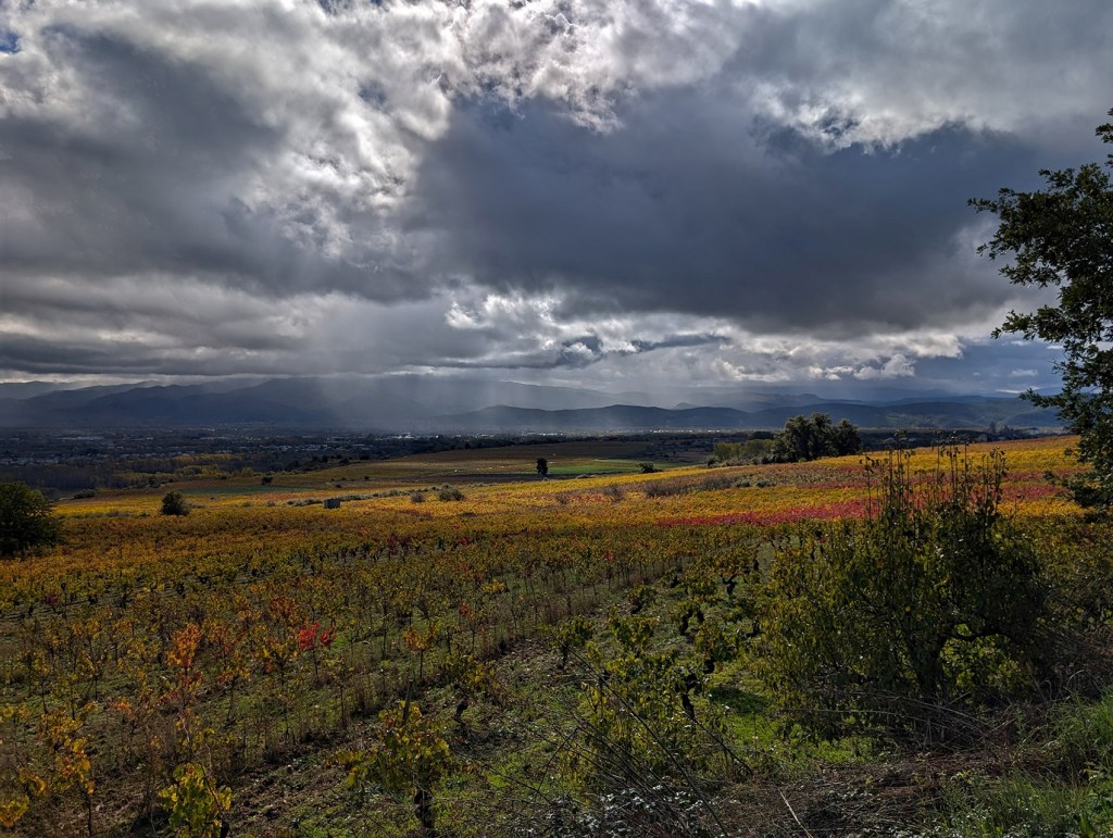 Toma desde Castroventosa, Cacabelos, El Bierzo, León, Castilla y León, España.