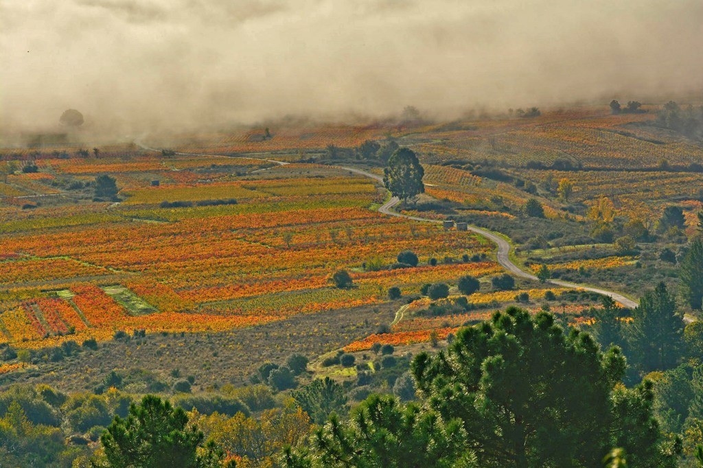 Valtuille de Arriba y Pieros, Cacabelos, El Bierzo, León, Castilla y León, España.