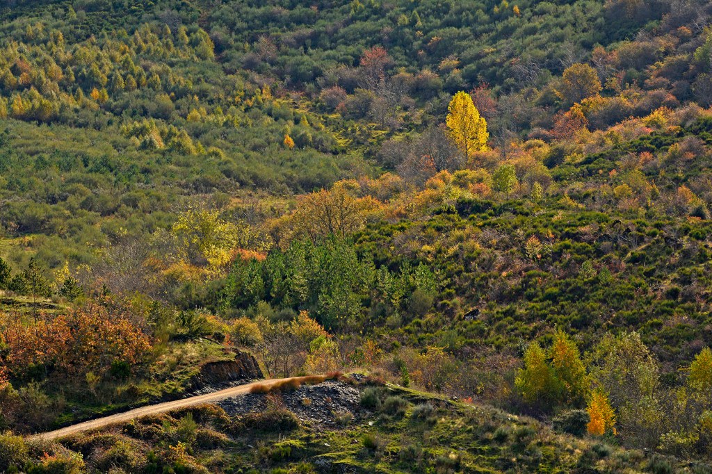 Ferradillo, Priaranza del Bierzo, El Bierzo, León, Castilla y León, España.