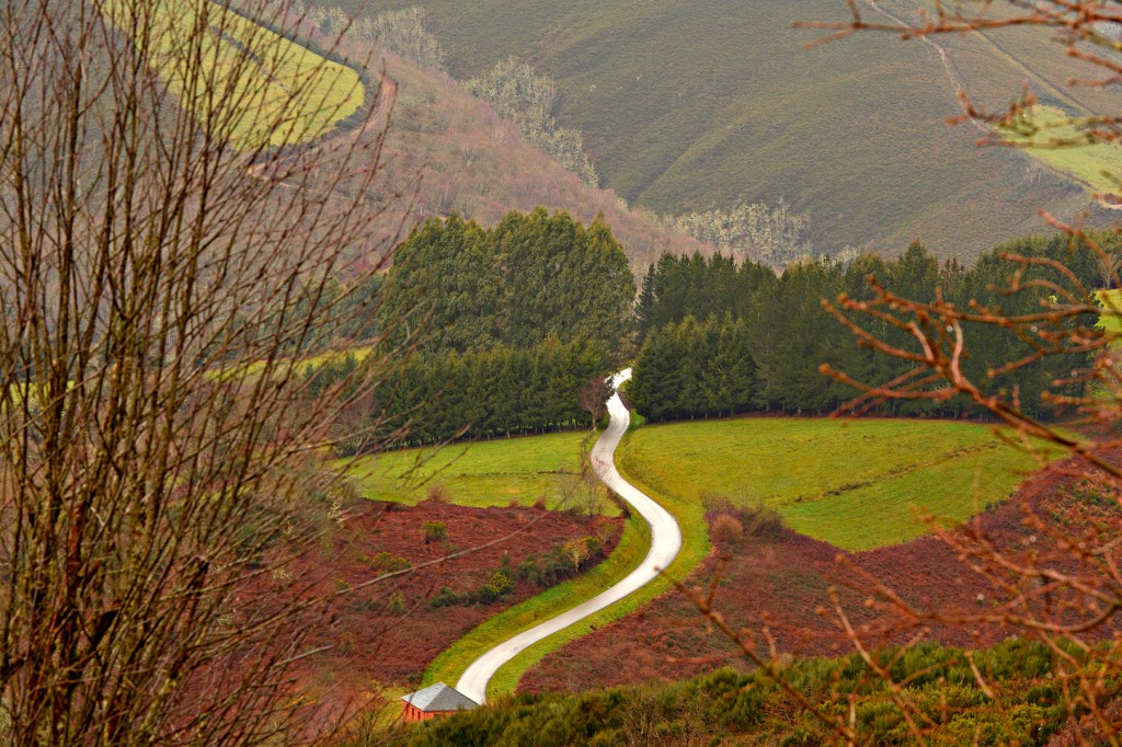 Cancillas, Cervantes, Ancares, Lugo, Galicia, España.