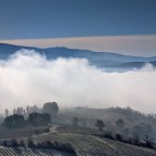 SERIE : LUZ SIN TIEMPO (8)