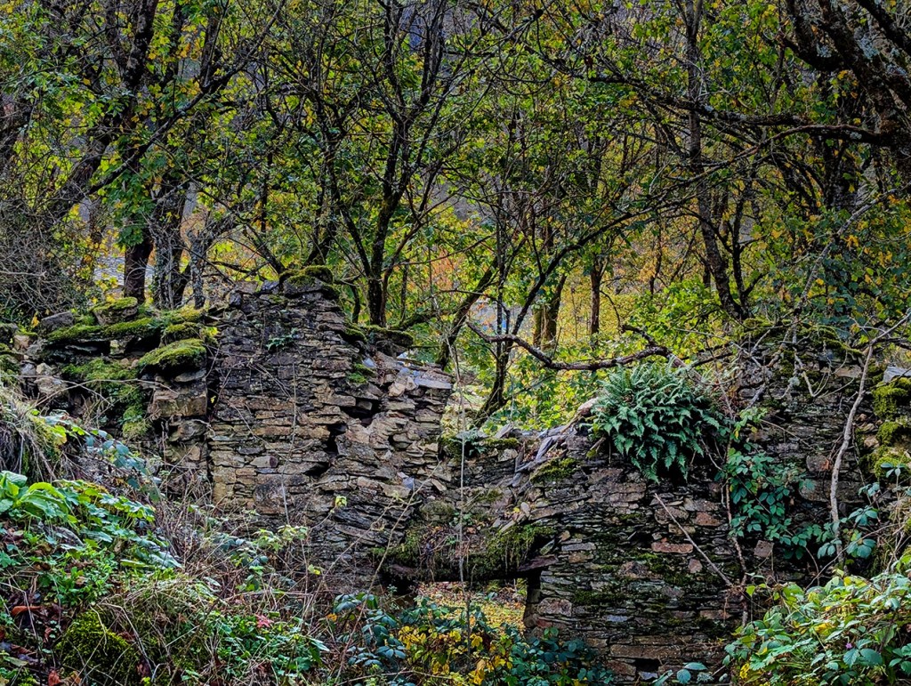 Ferradillo, Priaranza del Bierzo, El Bierzo, León, Castilla y León, España.