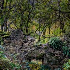 SERIE : LUZ SIN TIEMPO (10)