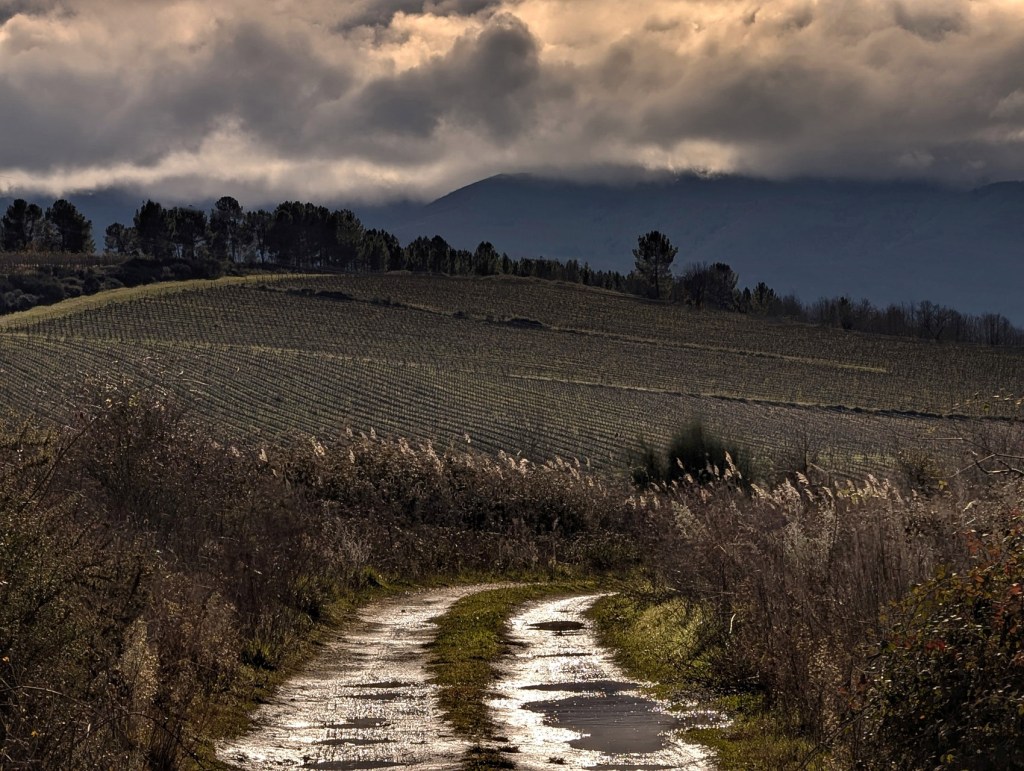 Magaz de Arriba, Arganza, El Bierzo, León, Castilla y León, España.