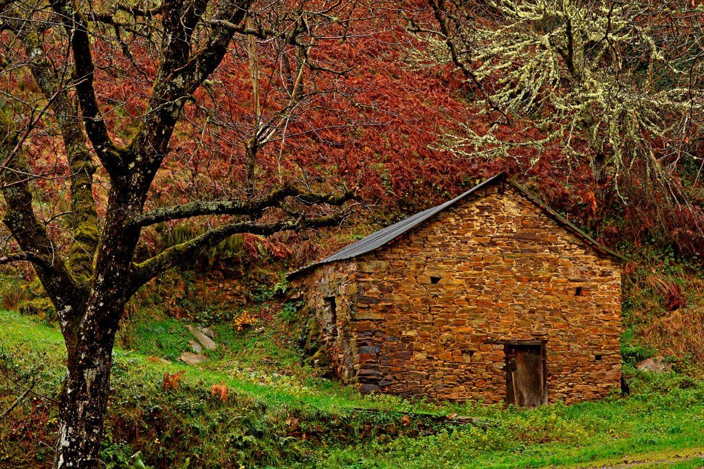 Veiga Do Seixo, Cervantes, Cereixedo, Ancares, Lugo, Galicia, España.