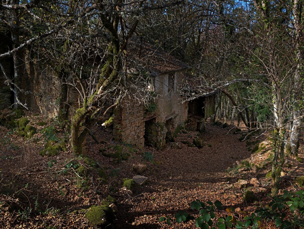 Ferradillo, Priaranza del Bierzo, El Bierzo, León, Castilla y León, España.