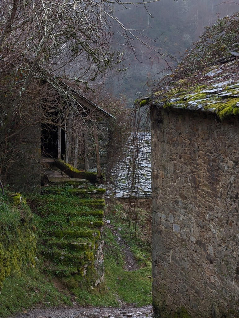 Porcís, San Román de Cervantes, Cervantes, Os Ancares, Lugo, Galicia, España.