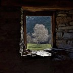 SERIE : LUZ SIN TIEMPO (12)