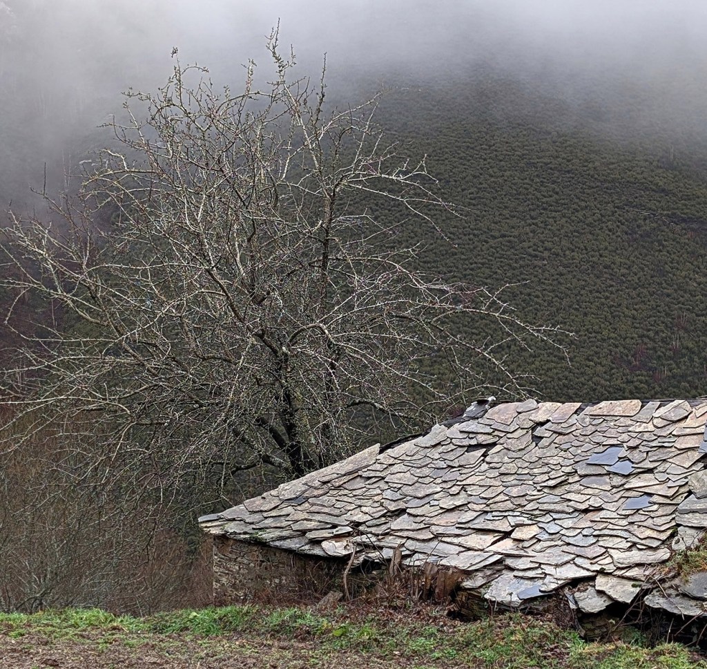 Porcís, San Román de Cervantes, Cervantes, Os Ancares, Lugo, Galicia, España.