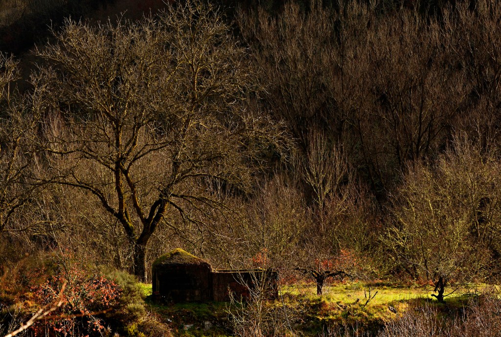 Portela de Valcarce, Vega de Valcarce, El Bierzo, León, Castilla y León, España.