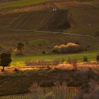 SERIE : LUZ SIN TIEMPO (17)