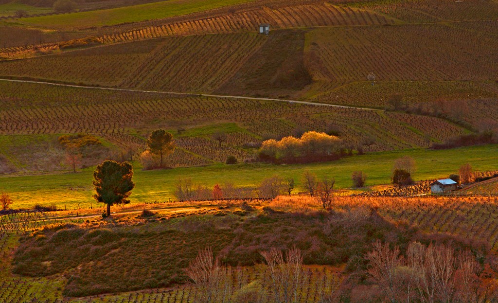 Valtuille de Abajo, Villafranca del Bierzo, El Bierzo, León, Castilla y León, España.