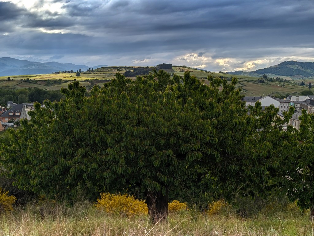 Cacabelos, El Bierzo, León, Castilla y León, España.