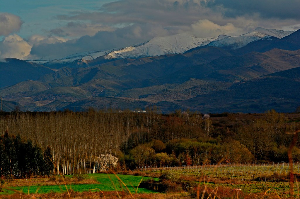 Camponaraya, El Bierzo, León, Castilla y León, España.