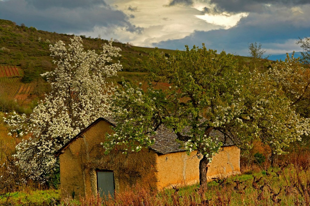 Entre Castroventosa y Valtuille de Abajo, Villafranca del Bierzo, El Bierzo, León, Castilla y León, España.