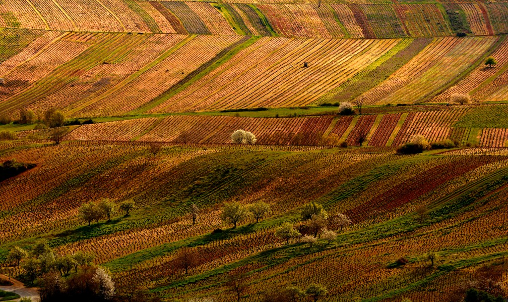 Valtuille de Abajo, Villafranca del Bierzo, El Bierzo, León, Castilla y León, España.