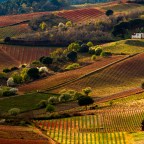 SERIE : LUZ SIN TIEMPO (18)