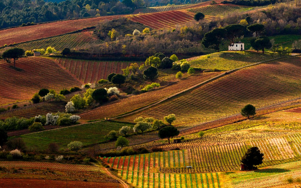 Valtuille de Arriba, Villafranca del Bierzo, El Bierzo, León, Castilla y León, España.